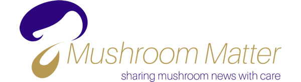Bureau Springveer Logo Mushroom Matter